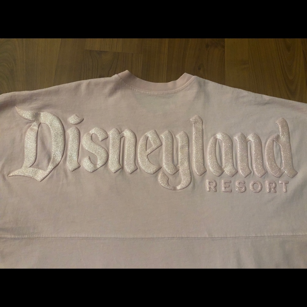 Disneyland Spirit Jersey L